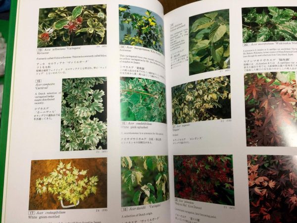 Books - Variegated Plants in Color Complete Set (Vol. 1, 2, & 3 ) Online Sale - Image 2