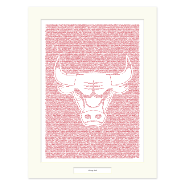 Chicago Bulls Sale - Image 2